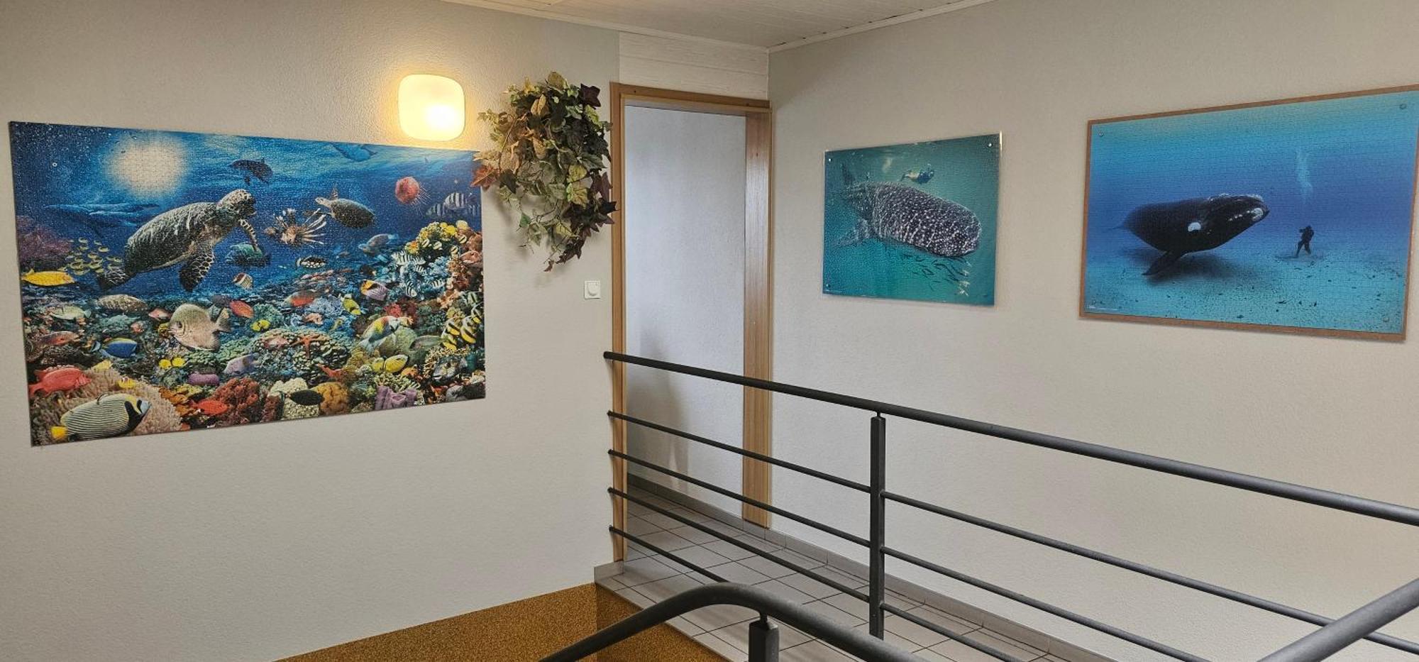 Budziar - Kwatery Nad Morzem Ujście-Darłowskie エクステリア 写真